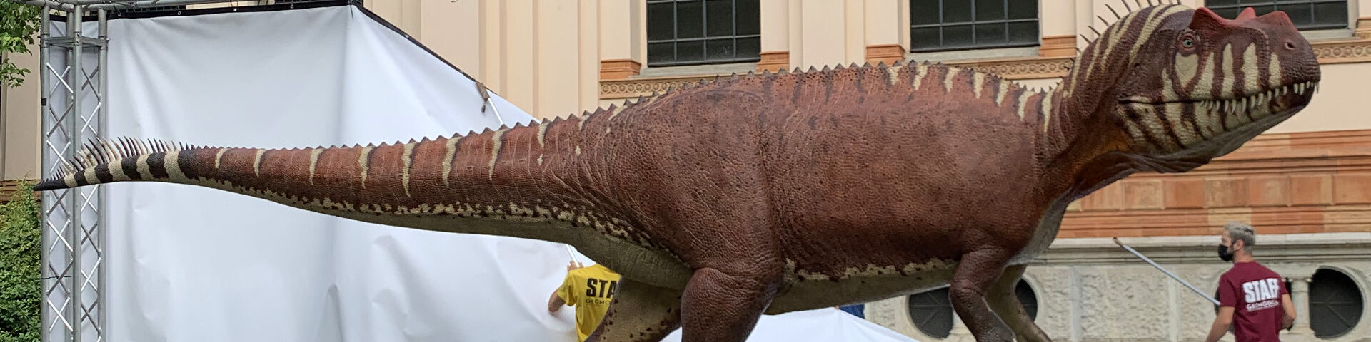 Il contributo di Bat-Tech alla nuova mascotte per il Museo di Storia Naturale di Milano